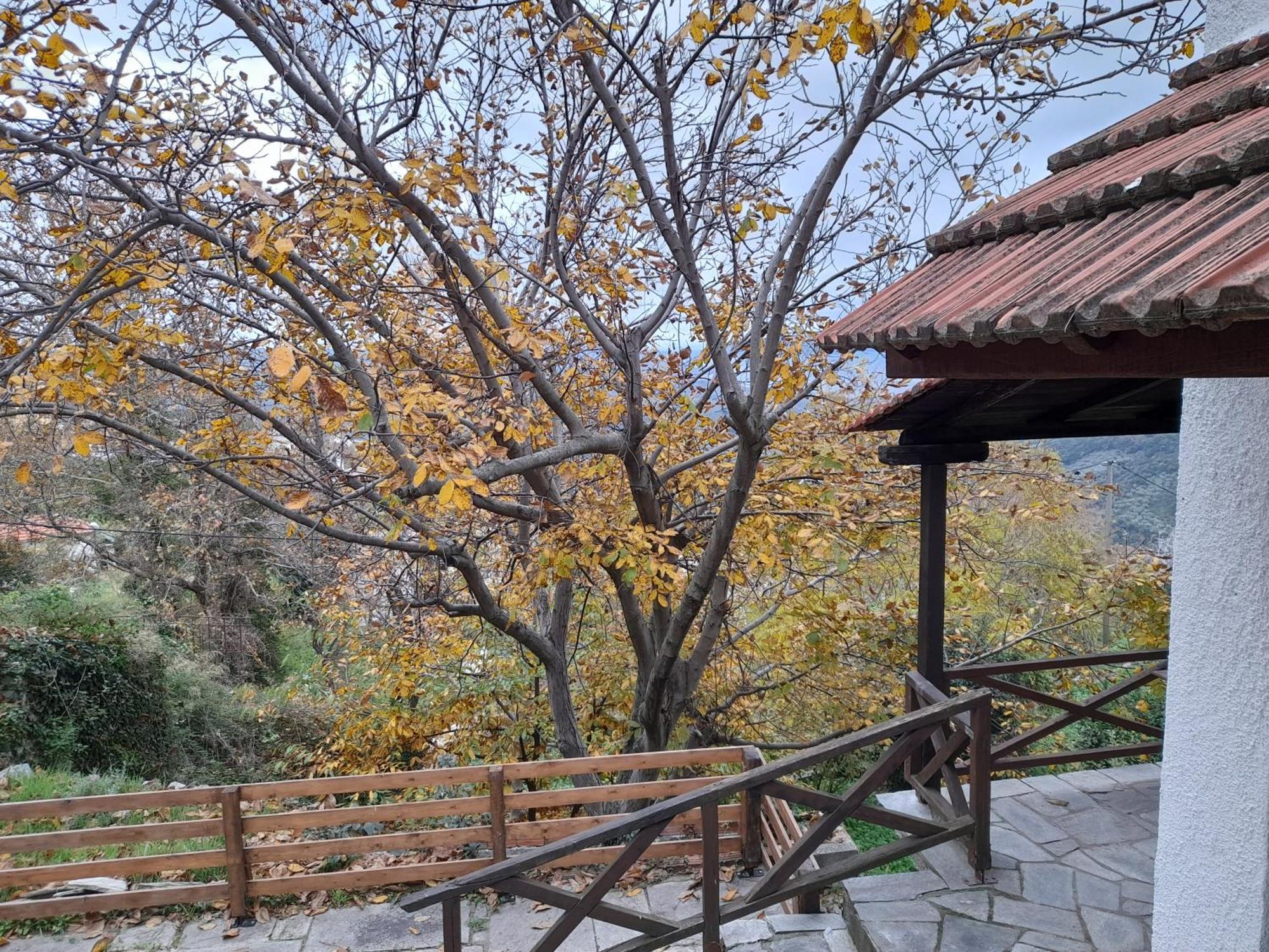 Mountain And Sea View Villa Miléai Екстериор снимка