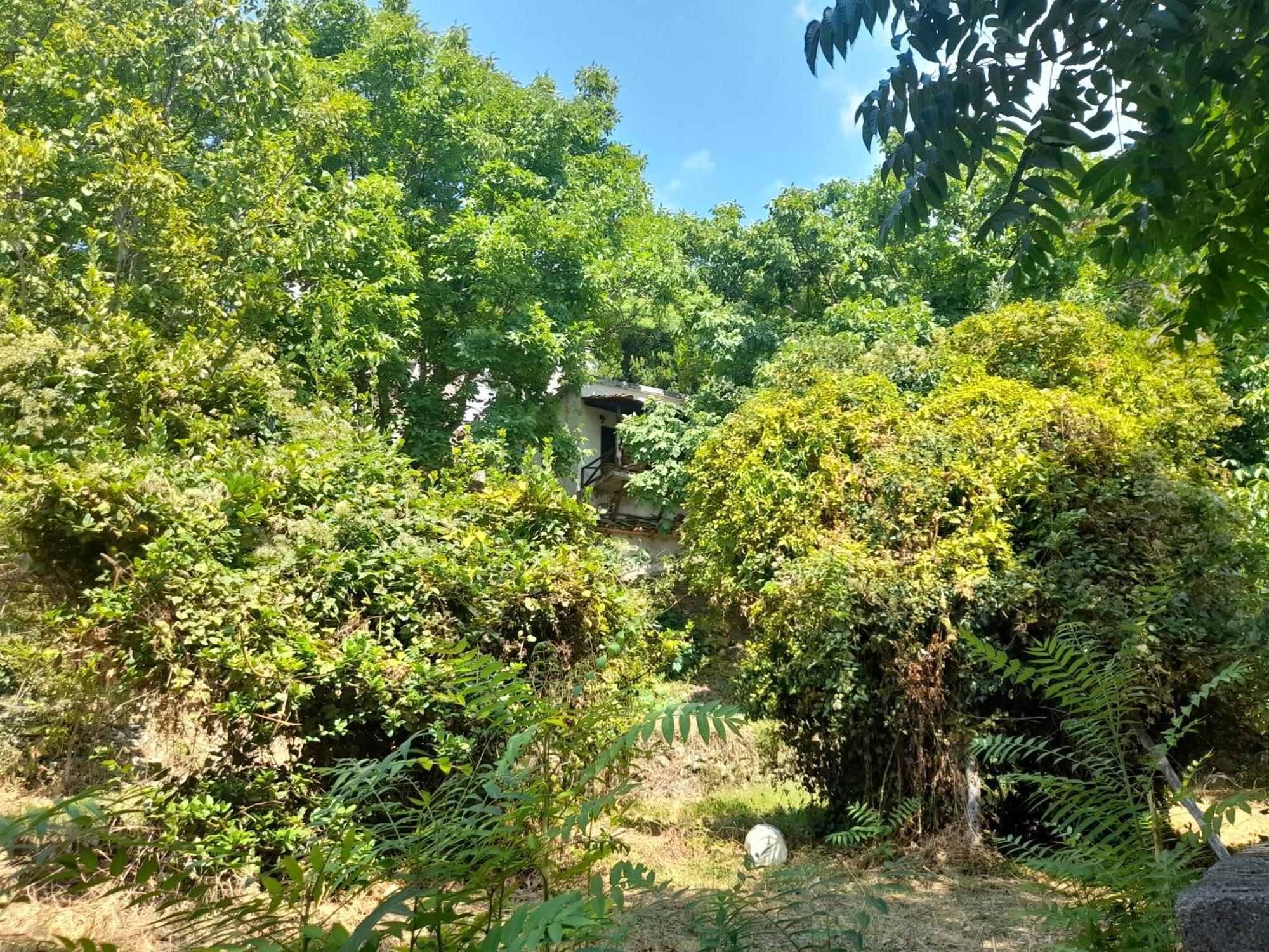 Mountain And Sea View Villa Miléai Екстериор снимка