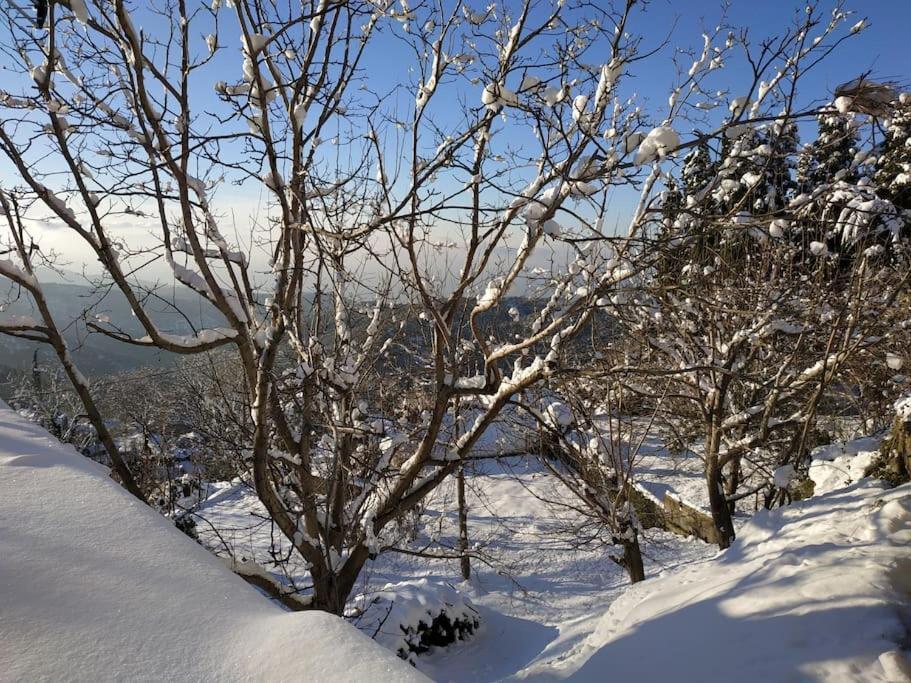 Mountain And Sea View Villa Miléai Екстериор снимка