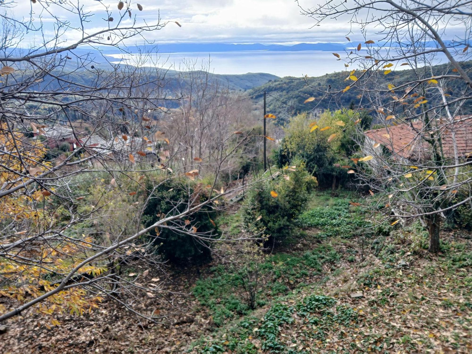 Mountain And Sea View Villa Miléai Екстериор снимка